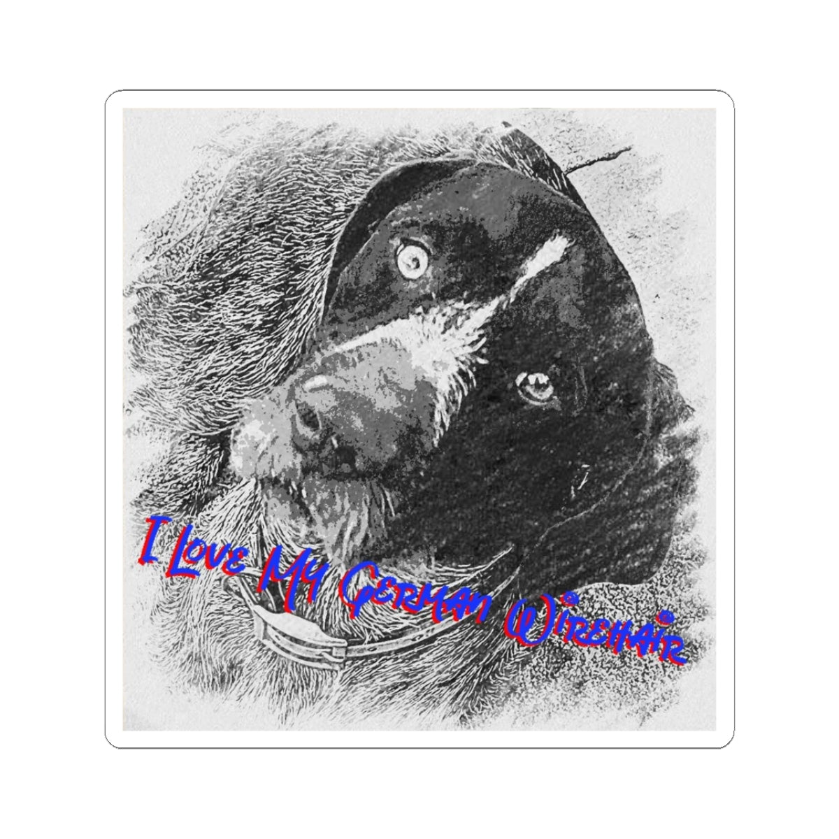 German Wirehair Pointer Sticker